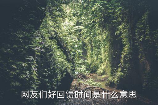 網(wǎng)友們好回饋時(shí)間是什么意思