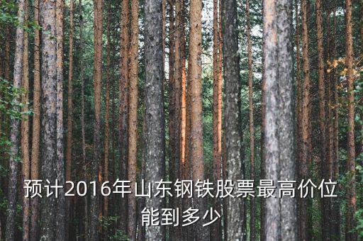 山東鋼鐵股票歷史最高什么價錢，預計2016年山東鋼鐵股票最高價位能到多少