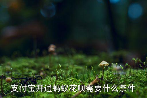 支付寶開通螞蟻花唄需要什么條件