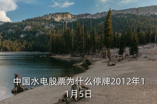 中國(guó)水電股票為什么停牌2012年11月5日