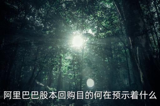 阿里巴巴股本回購目的何在預示著什么