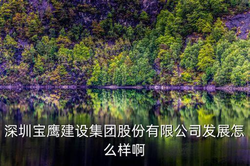 深圳寶鷹建設(shè)集團股份有限公司發(fā)展怎么樣啊