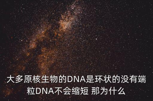 大多原核生物的DNA是環(huán)狀的沒有端粒DNA不會(huì)縮短 那為什么