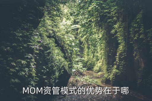 MOM資管模式的優(yōu)勢在于哪