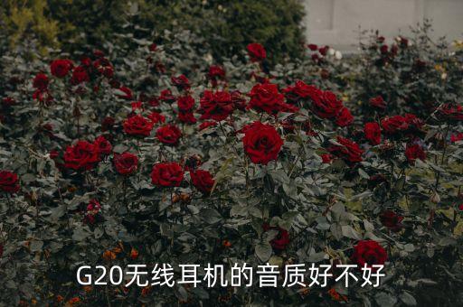 G20無線耳機(jī)的音質(zhì)好不好