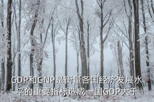 GDP和GNP是衡量各國經(jīng)濟發(fā)展水平的重要指標造成一國GDP大于