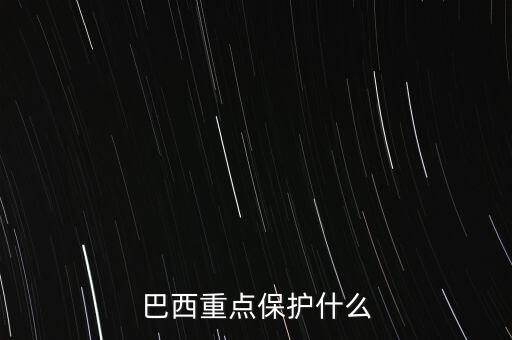 巴西重點保護什么