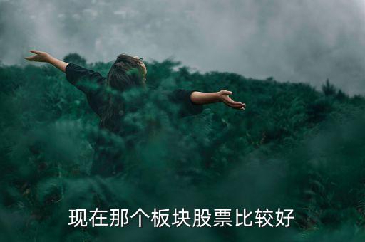 現(xiàn)在那個板塊股票比較好