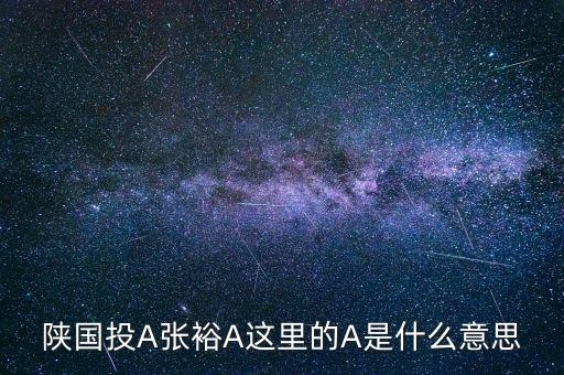 張裕a有什么可比公司，陜國投A張裕A這里的A是什么意思