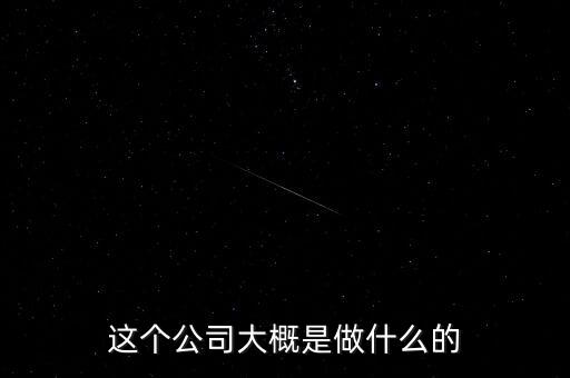 這個(gè)公司大概是做什么的