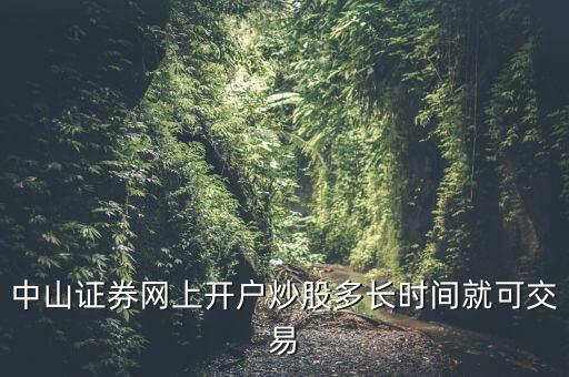 中山證券網(wǎng)上開戶炒股多長時間就可交易