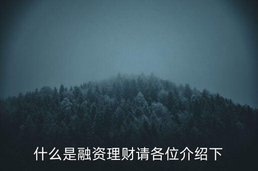 什么是融資理財(cái)請(qǐng)各位介紹下