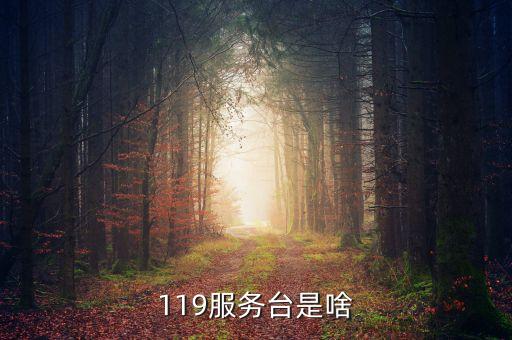 119管什么，119服務臺是啥