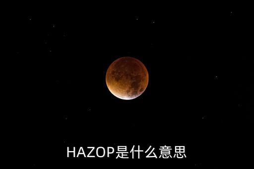 HAZOP是什么意思