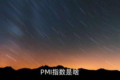 PMI指數(shù)是啥