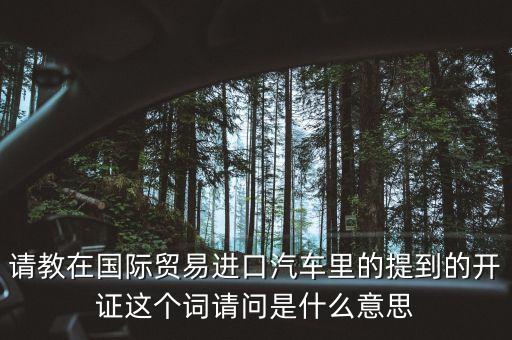 請教在國際貿(mào)易進口汽車里的提到的開證這個詞請問是什么意思