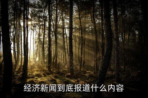 經(jīng)濟新聞是什么，經(jīng)濟新聞到底報道什么內(nèi)容