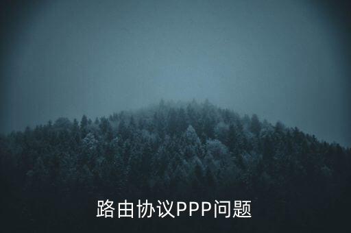 路由協(xié)議PPP問題