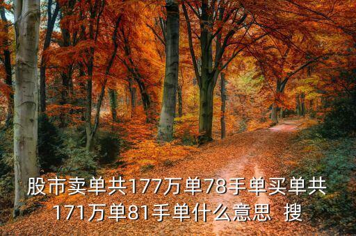 股票買單778手什么意思，股市賣單共177萬單78手單買單共171萬單81手單什么意思  搜