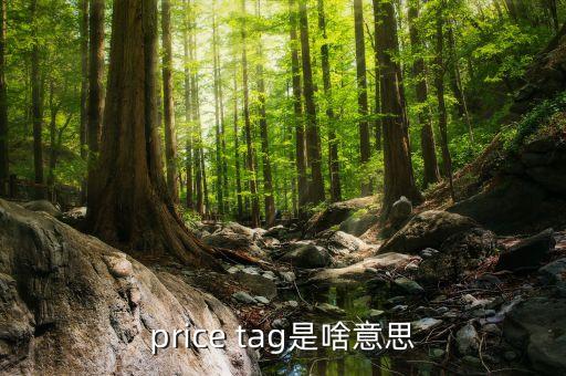 price tag是啥意思