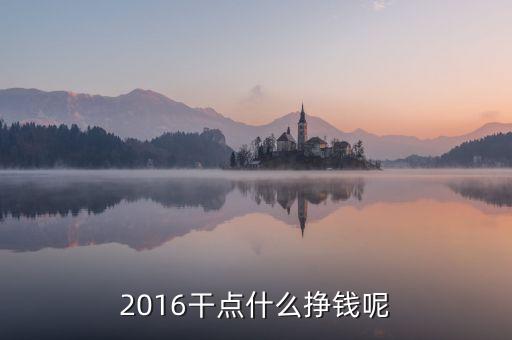 2016年做點(diǎn)什么賺錢，2016做什么生意能賺錢