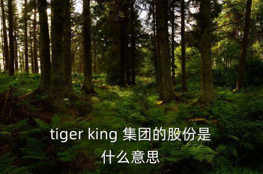 tiger king 集團(tuán)的股份是什么意思