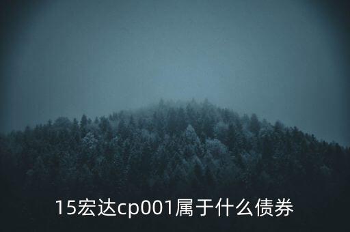 債券cp001什么意思，債券后面的數(shù)字01或者02是什么意思