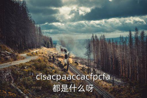 cisacpaaccacfpcfa都是什么呀