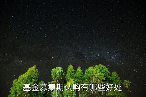 基金認購有什么好處，認購首發(fā)股票基金有什么好處和壞處