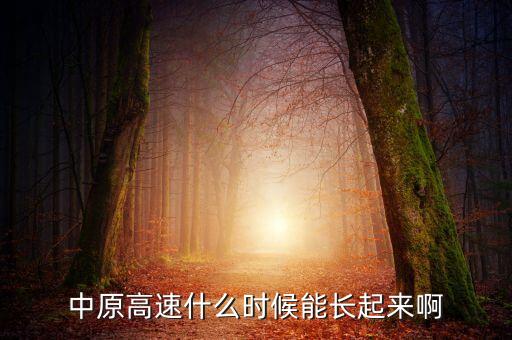 中原高速什么時候發(fā)行的，中原高速什么時候能長起來啊