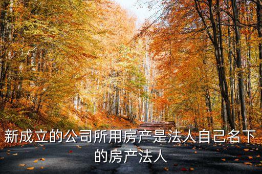 新成立的公司所用房產(chǎn)是法人自己名下的房產(chǎn)法人