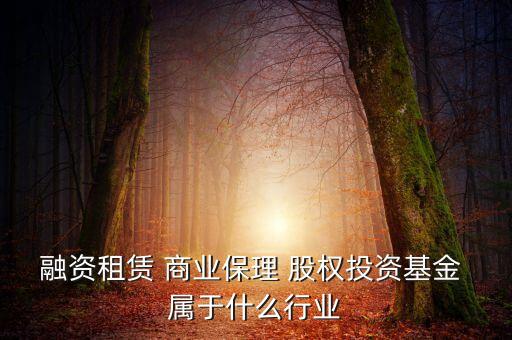 融資租賃 商業(yè)保理 股權(quán)投資基金 屬于什么行業(yè)