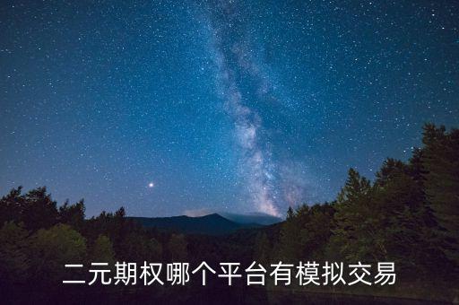 二次期權(quán)什么平臺可以電腦交易，二元期權(quán)哪個平臺有模擬交易