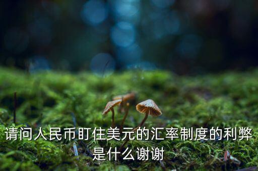 請問人民幣盯住美元的匯率制度的利弊是什么謝謝