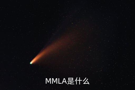 MMLA是什么