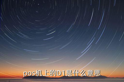 pos機(jī)上的D1是什么意思