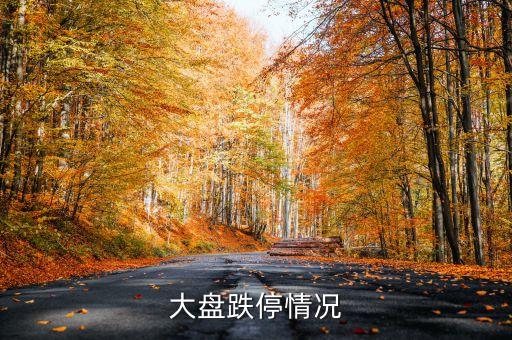 大盤跌停情況