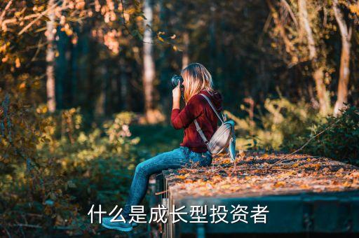 什么是成長(zhǎng)型投資者