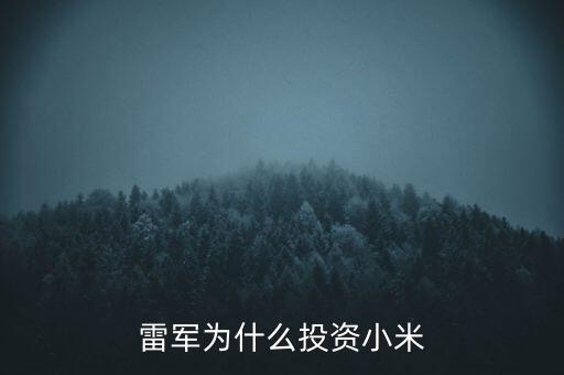 雷軍為什么投資小米