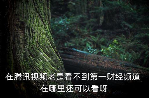 中央電視臺財經(jīng)頻道的網(wǎng)址是什么，電視財經(jīng)生活臺的網(wǎng)址是