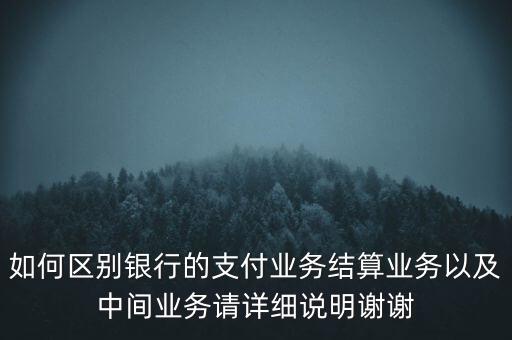 什么是支付結(jié)算業(yè)務(wù)，銀行的支付結(jié)算業(yè)務(wù)狀況指什么