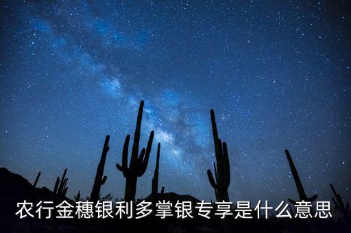 農(nóng)行金穗銀利多掌銀專享是什么意思