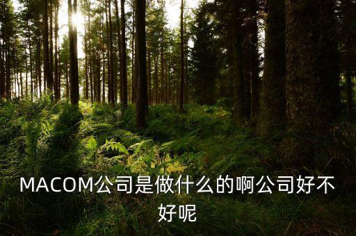 MACOM公司是做什么的啊公司好不好呢