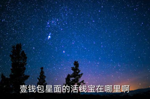 壹錢包星面的活錢寶在哪里啊