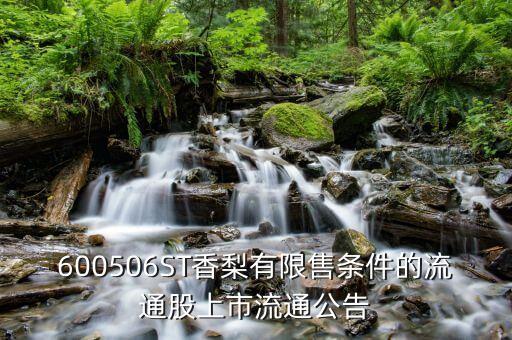 香梨什么時候上市，600506ST香梨有限售條件的流通股上市流通公告