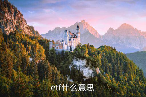 基金的etf是什么意思，ETF具體指什么