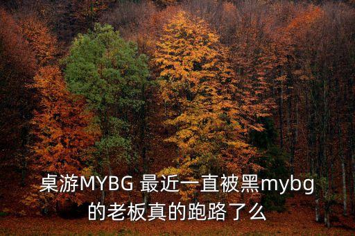 桌游MYBG 最近一直被黑mybg的老板真的跑路了么