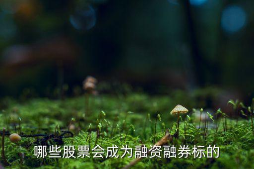 哪些股票會(huì)成為融資融券標(biāo)的