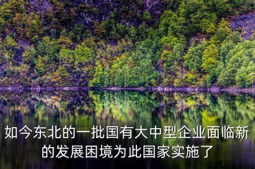 東北國企改革為什么落后，國有企業(yè)改革為什么是東北振興的重頭戲