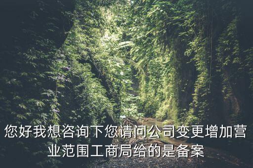 您好我想咨詢下您請問公司變更增加營業(yè)范圍工商局給的是備案